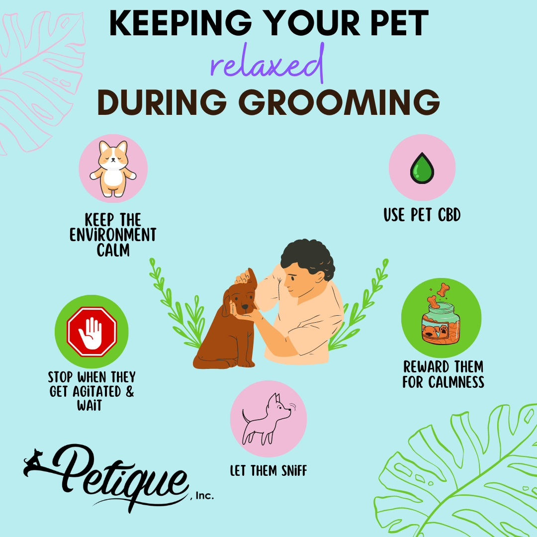 5 Proven Ways To Keep Your Pet Relaxed During Grooming