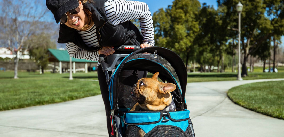 5 Reasons Why Pets Need Pet Strollers