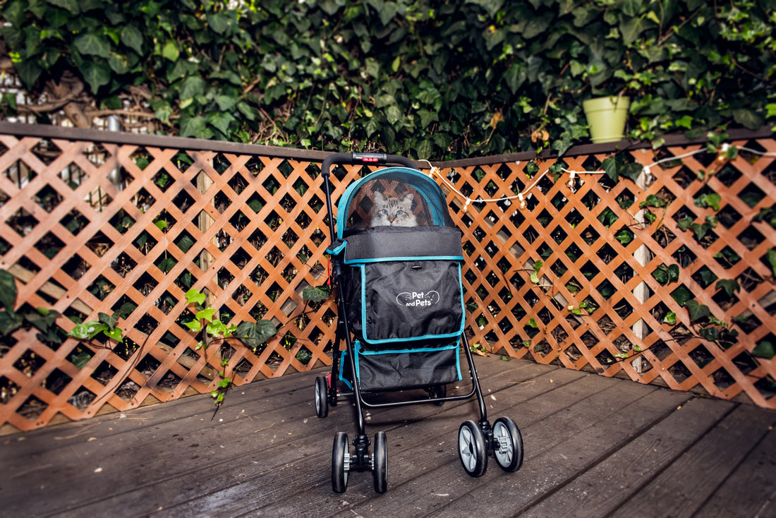 HautePinkPretty - Why we Use a Dog Stroller