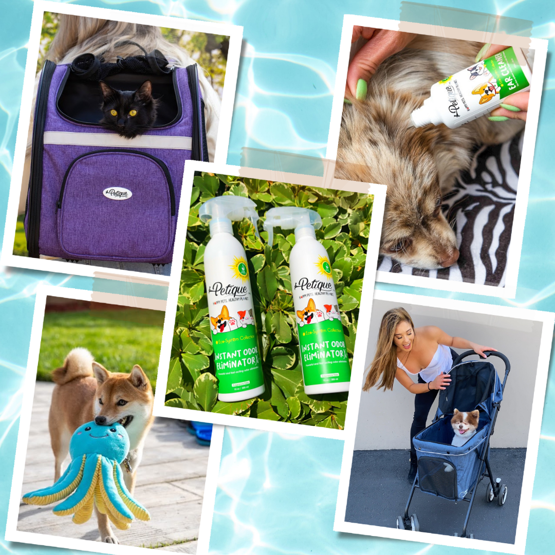 Top 5 Summer 2022 Pet Must Haves!!!