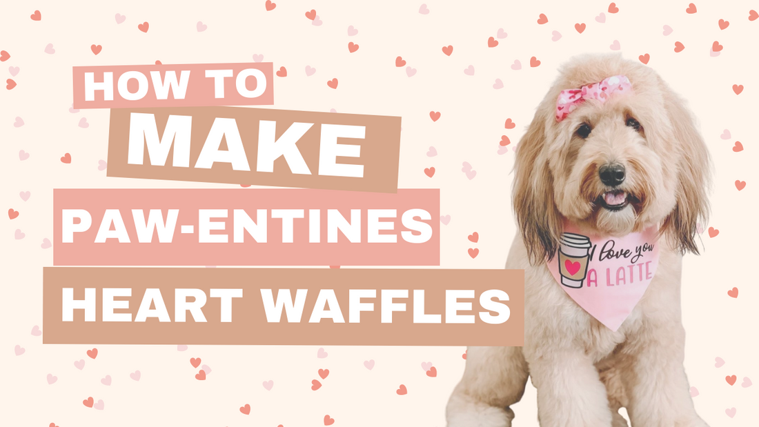 Paw-entine's Heart Waffles Treat for Dogs