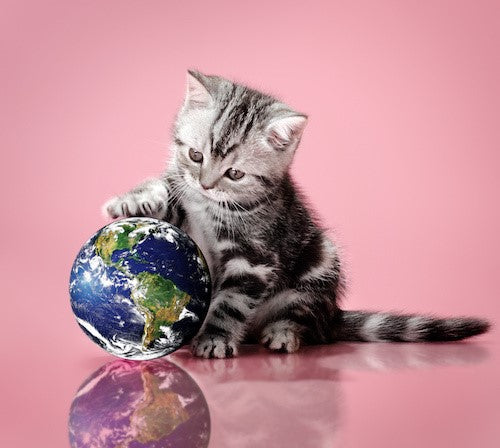Earth Day 2019