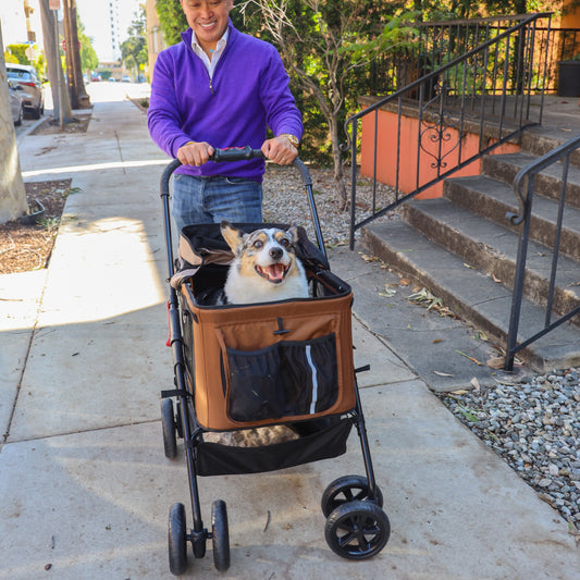 Exploring Petique's Dynamic Pet Stroller: 4 Versatile Ways to Travel with Your Furry Friend
