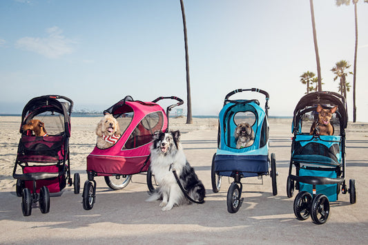 Petique’s Travel System For Your Pets - What Are The Benefits