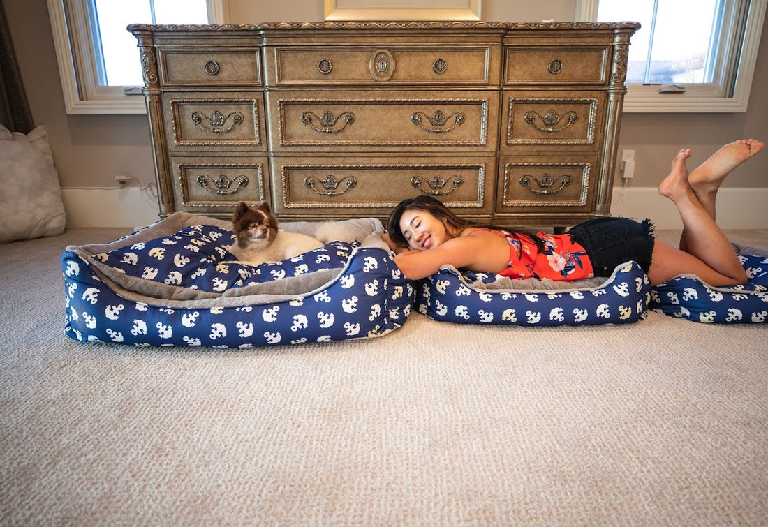 How to Create a Positive Environment for your Pets 🐾