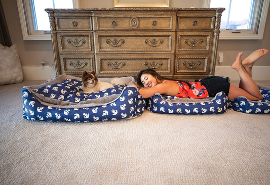 How to Create a Positive Environment for your Pets 🐾
