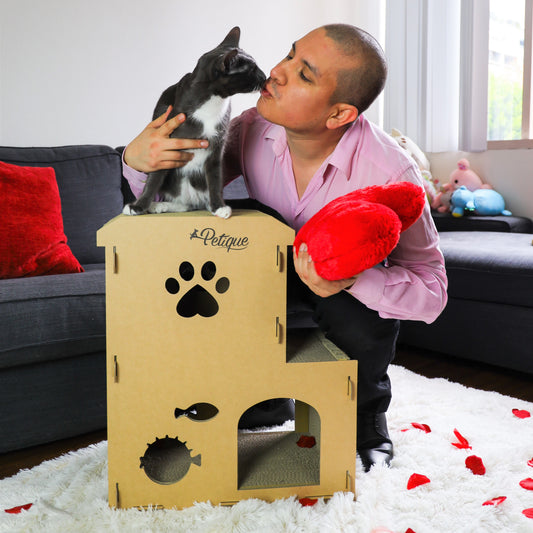 Making Memories with Your Furry Valentine: How to Give Your Dogs and Cats the Best Valentine’s Day with Quality Time