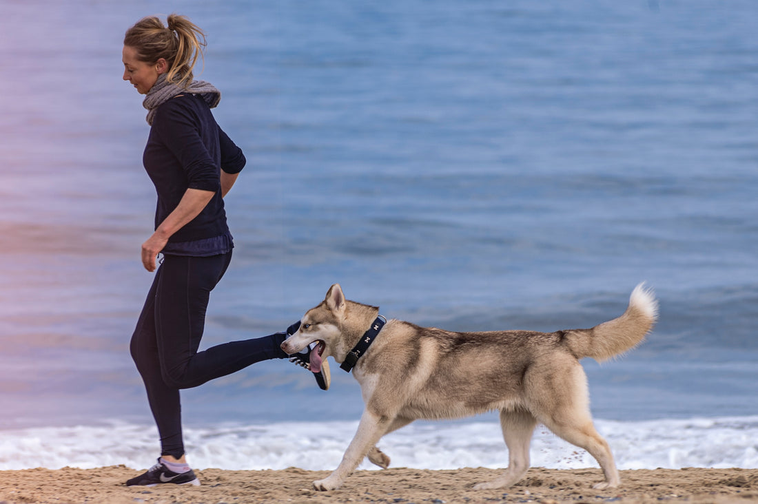 Get Out and Get Healthy for Your New Year’s Resolution!