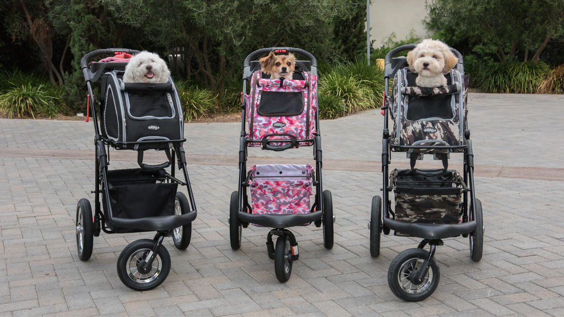 5 Things You Wish Your Pet Stroller Could Do