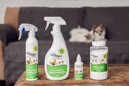 Best 4 Pet Odor Eliminator Products in 2021