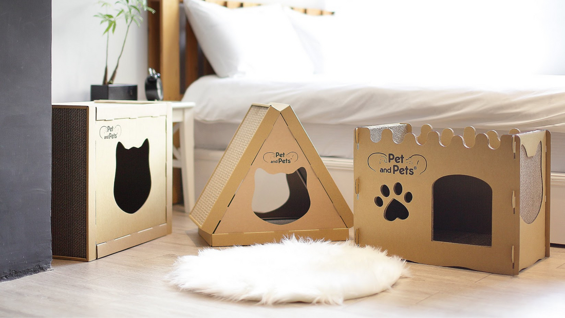 Eco-friendly and Sustainable Cat Products to Help Stop Pollution