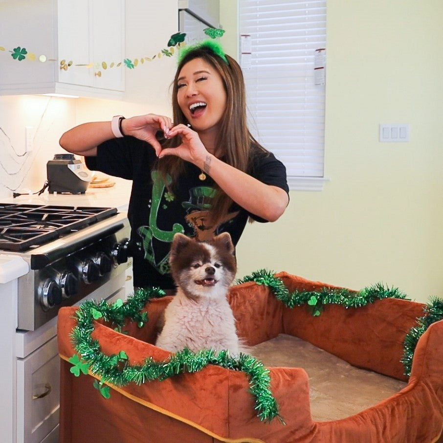 Top 6 St. Patrick's Day Celebration Ideas for Pet Lovers: Get Creative with Your Furry Friends!