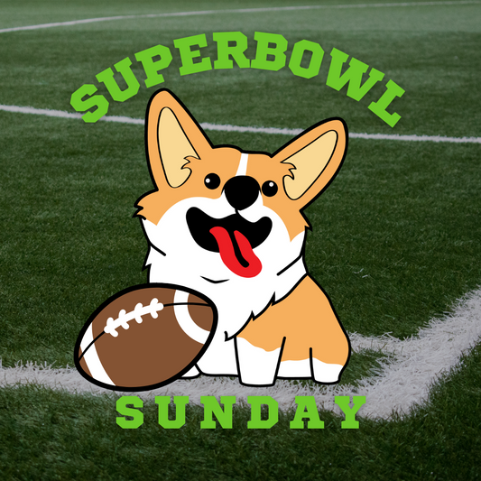 6 Tips to Keep Your Dog Safe During Superbowl