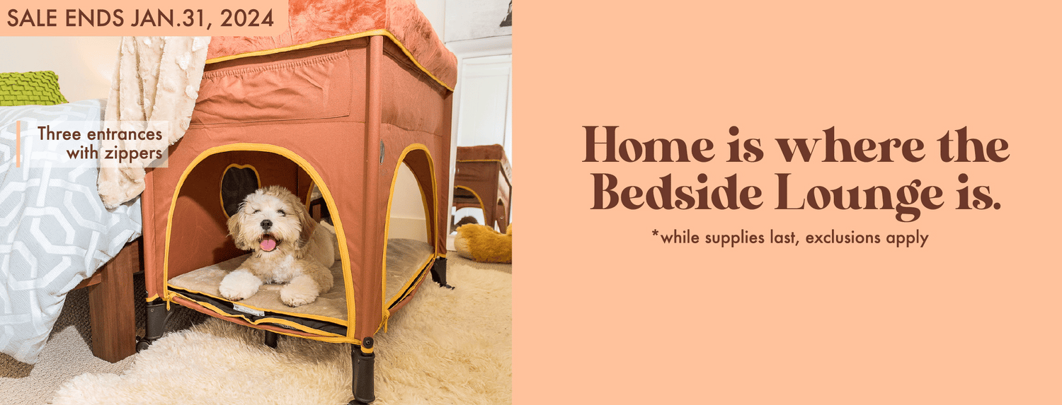 Petique, Inc. Nontoxic Pet Products for Dogs, Cats, and Small Animals