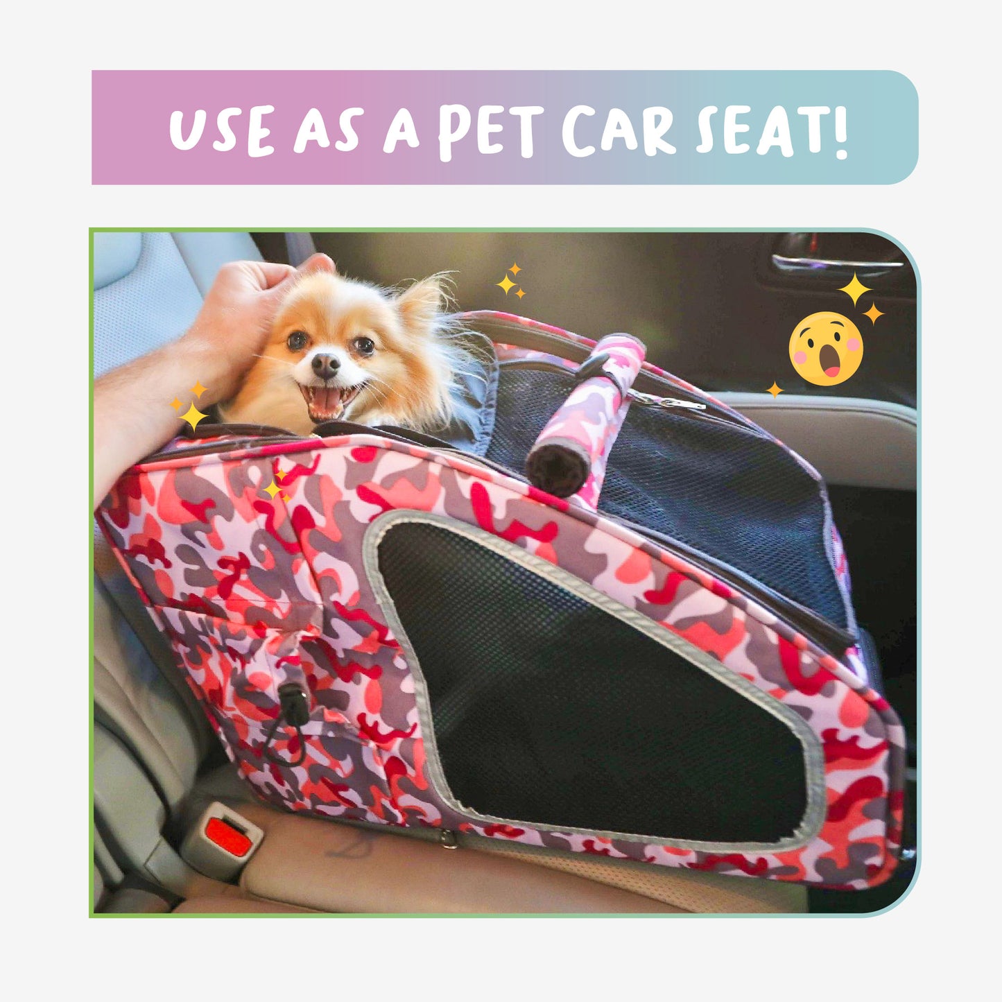 5-in-1 pet carrier as a pet car seat