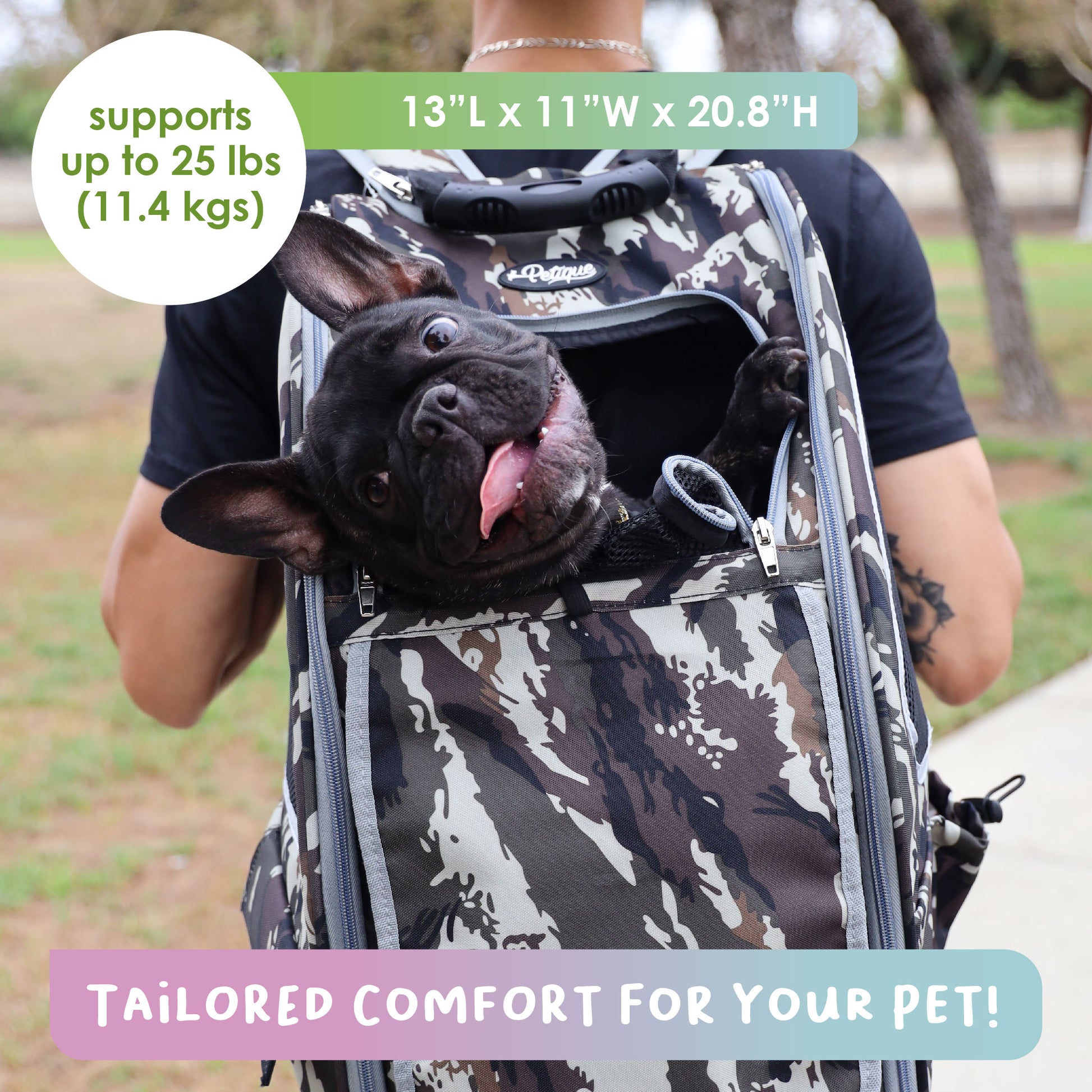 5-in-1 army camo pet carrier with frenchie