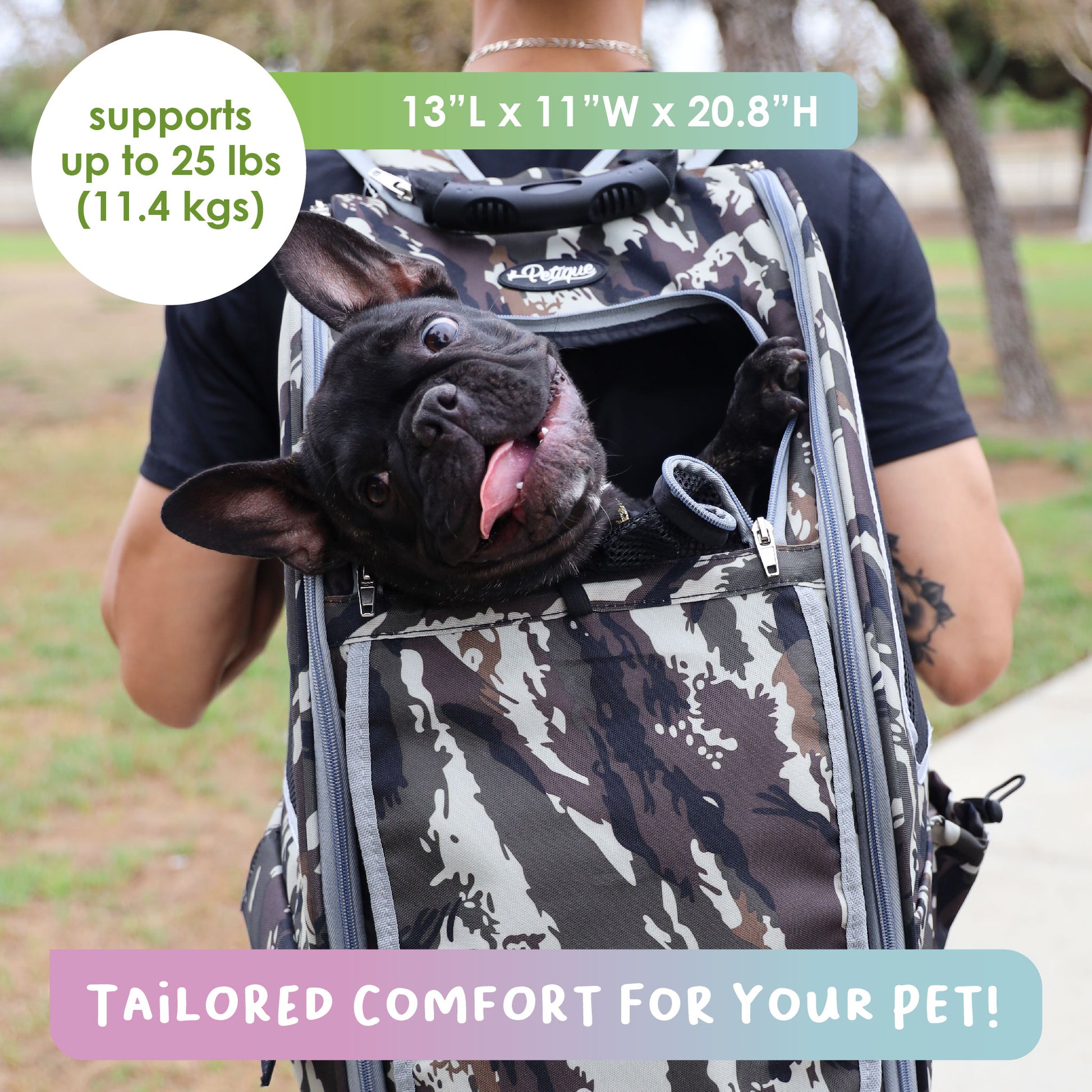 Petique 5-in-1 Travel Pet Carrier (Pet Carrier Only) for Dog/Cat