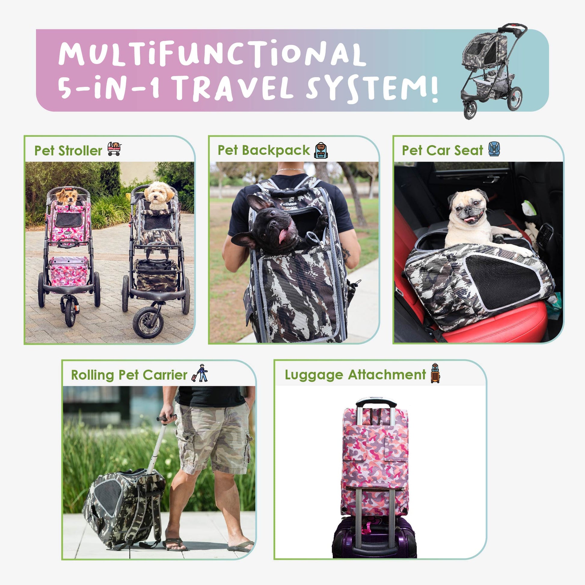 Petique 5-in-1 Travel Pet Carrier (Pet Carrier Only) for Dog/Cat/Small  Animal – Petique, Inc.