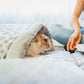 Hide & Seek 3 Piece Bundle Pack: Pet Sleep & Play House Bundle for Cats, Bunnies, Small Animals, Interactive Tunnel Mat, Critter Dome, and Critter Tunnel, Durable Fabric, Anxiety-Relief, Perfect for Play, Sleep, Easy to Clean, Pet Gift Set
