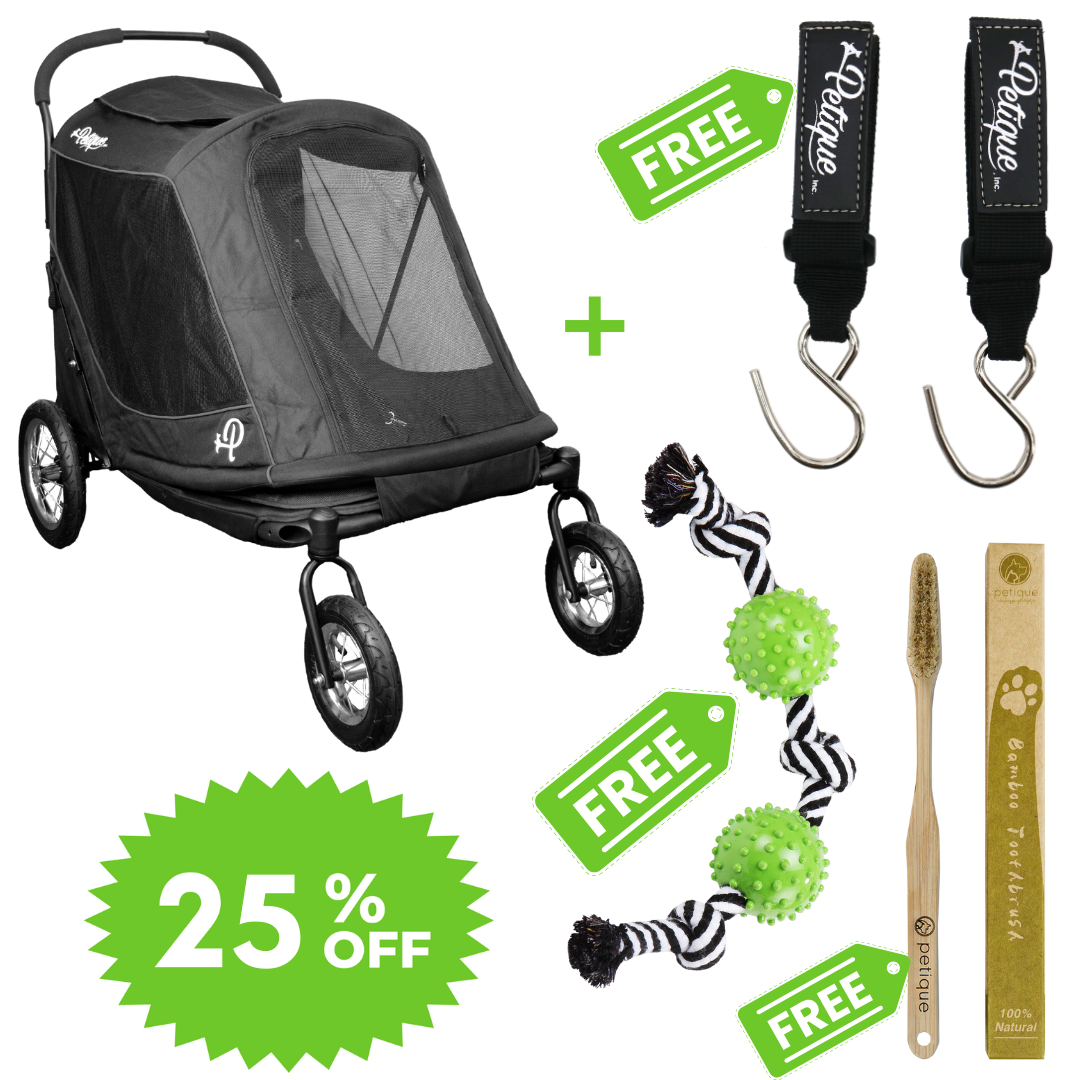 Apollo Pet Stroller Spooktacular Bundle