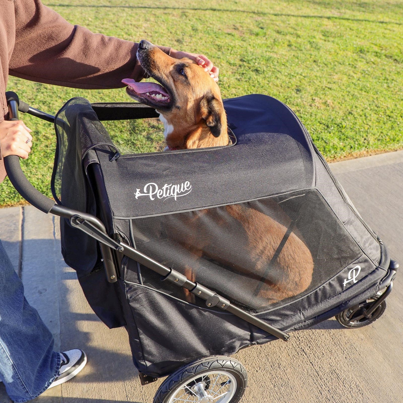 zebra print dog stroller NEW & IMPROVED Apollo Elite Pet Stroller: Sturdy Ramp, Low to Ground, Air-Filled Bike Tires, Peek-a-Boo Window Folds Compact, Convertible Canopy, For