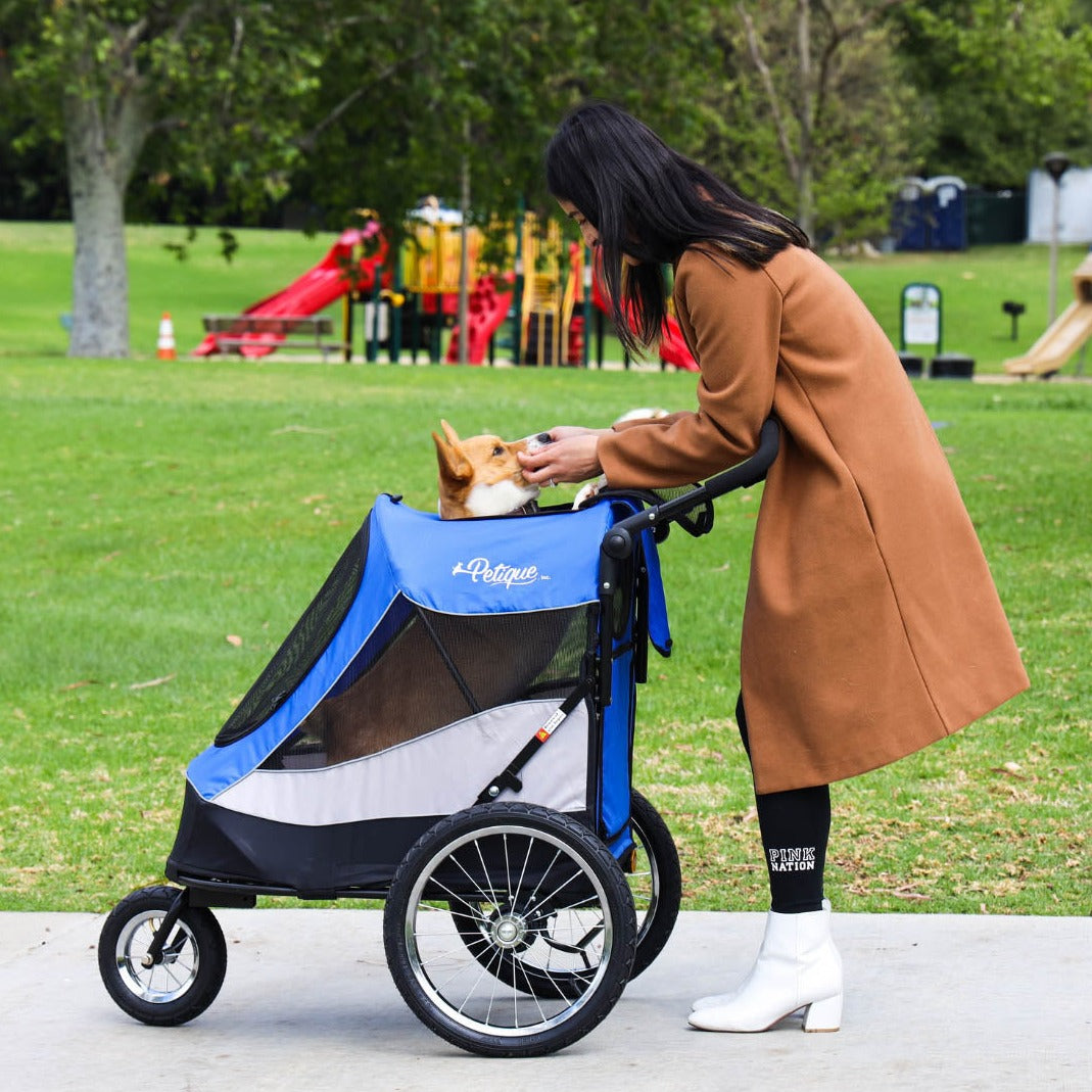 trailblazer pet jogger blue with dog