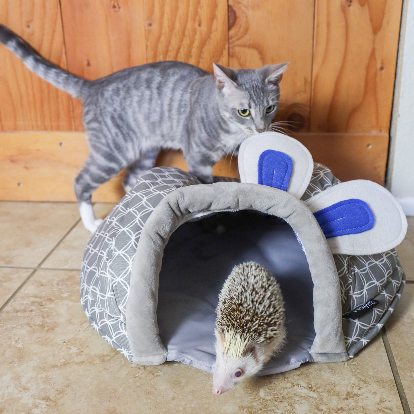 Critter Dome Sleep and Play: Comfortable Soft Material, Security & Snuggling, Durable Fabric, Warm in Winter, Cool in Summer, for Small Animals
