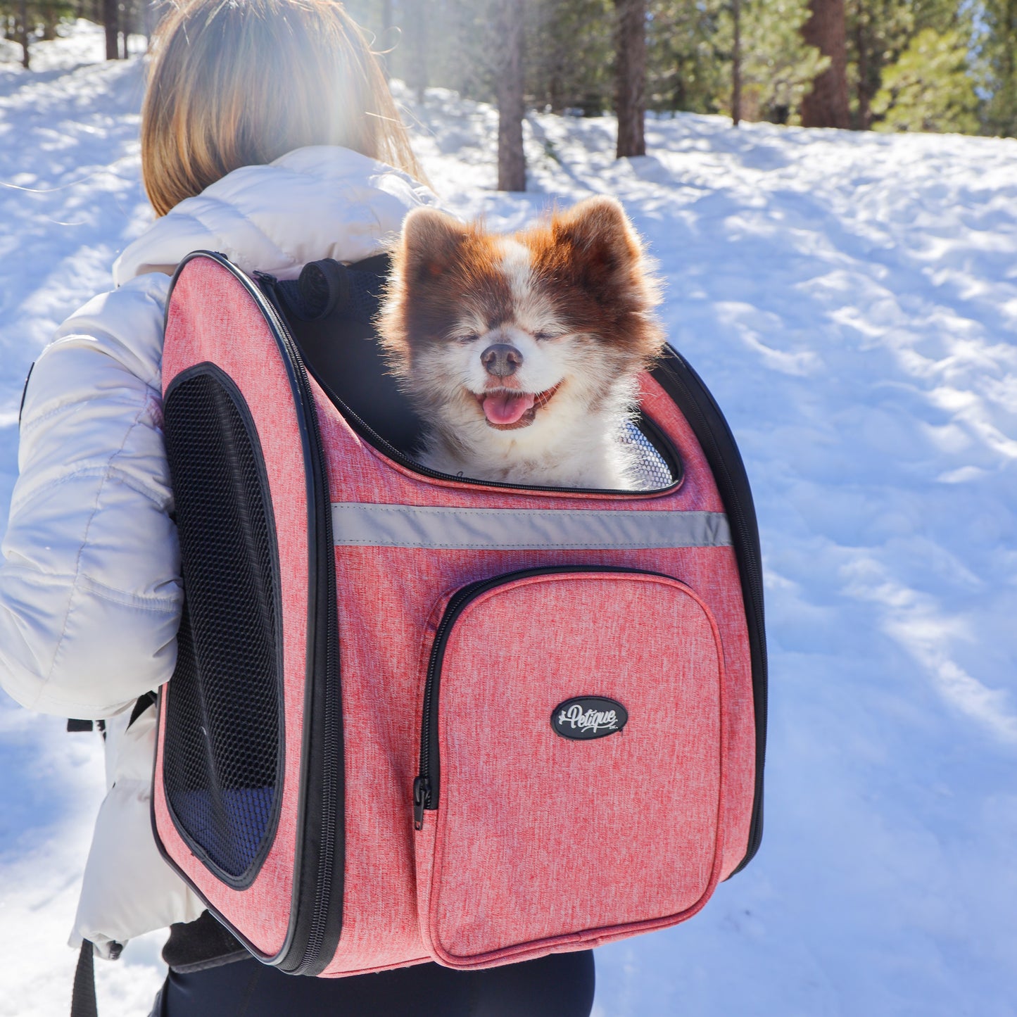 The Backpacker Pet Carrier for Small Dogs/Cats/Pets, Storage Pocket, Luggage Handle Slit, Leash Inside, Adjustable Straps, Reversible Mat, 3 Entryways, Folds Flat, Reflective Strip