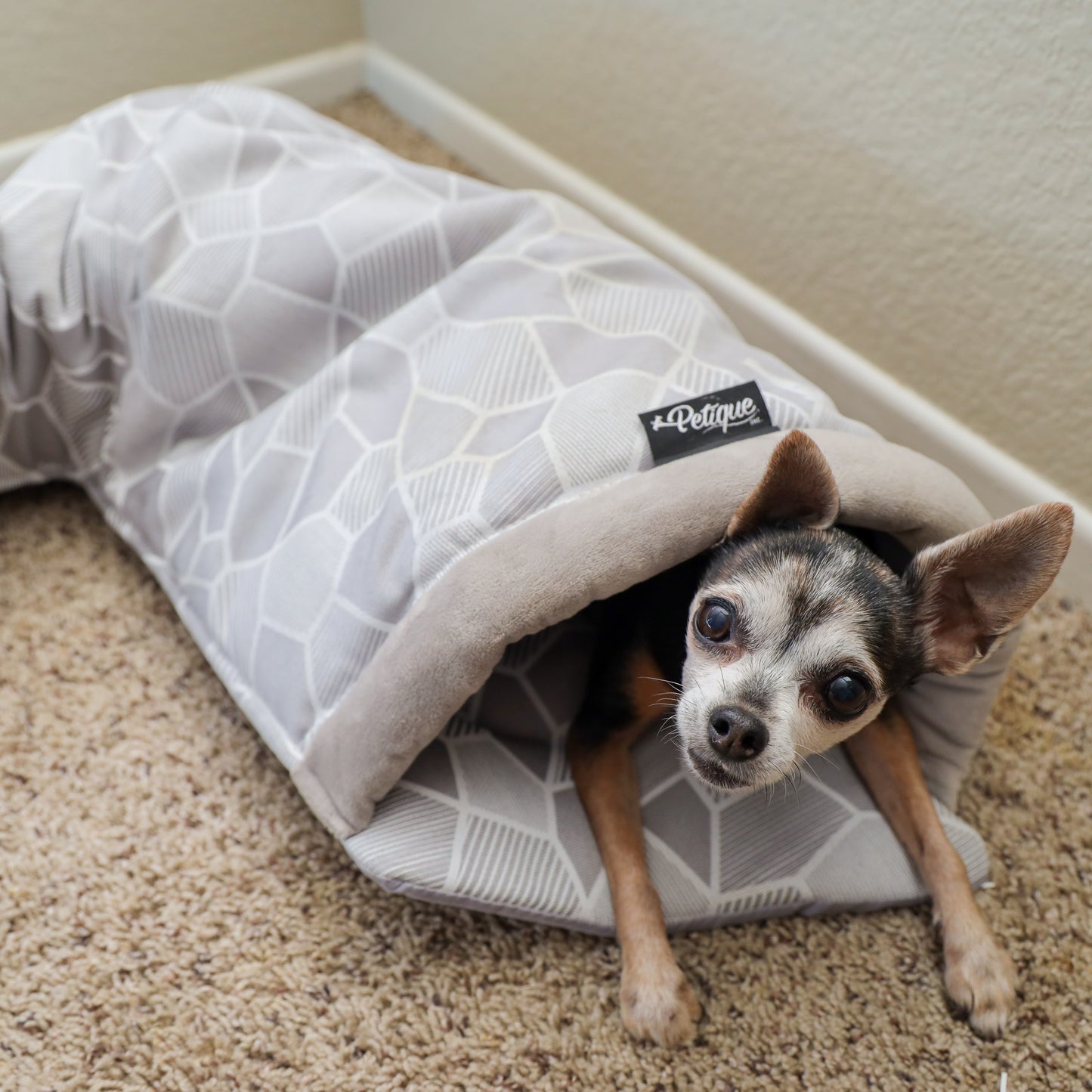 Hide & Seek 3 Piece Bundle Pack: Pet Sleep & Play House Bundle for Cats, Bunnies, Small Animals, Interactive Tunnel Mat, Critter Dome, and Critter Tunnel, Durable Fabric, Anxiety-Relief, Perfect for Play, Sleep, Easy to Clean, Pet Gift Set