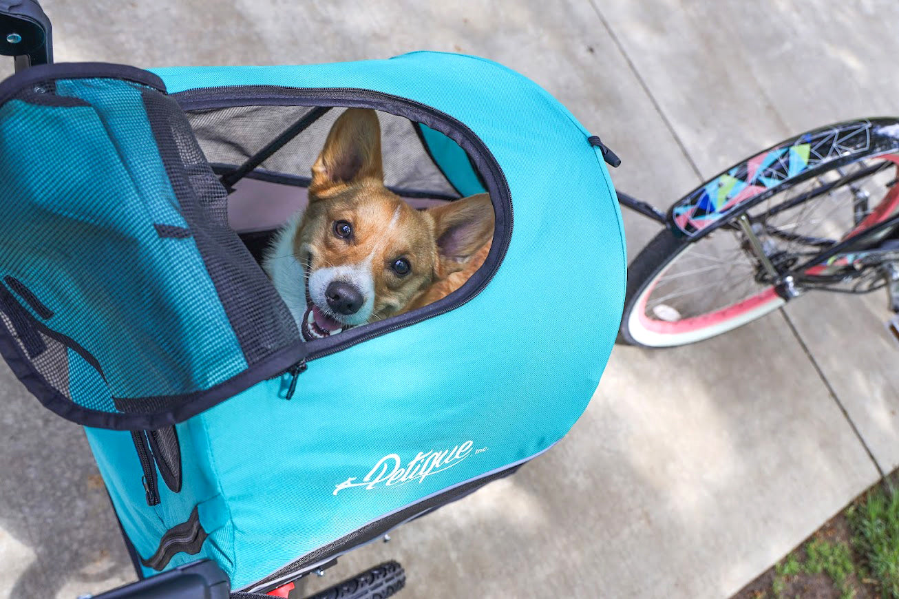 pet stroller with top window