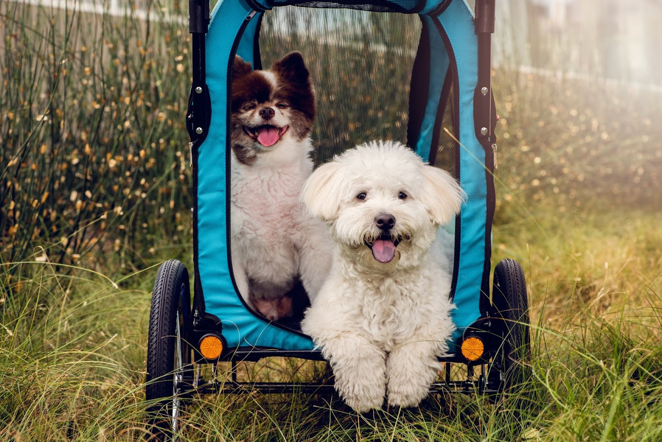 Petique all terrain jogger shop