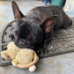 Hula Hemp Rope Koala Dog Toy: Fun Squeaker in Head, Stimulates Pets Mentally & Physically, Tough Hemp Rope for Holding, Fetching, & Tug of War, Non-Toxic, Cleans Teeth, Variety of Textures, for Pets