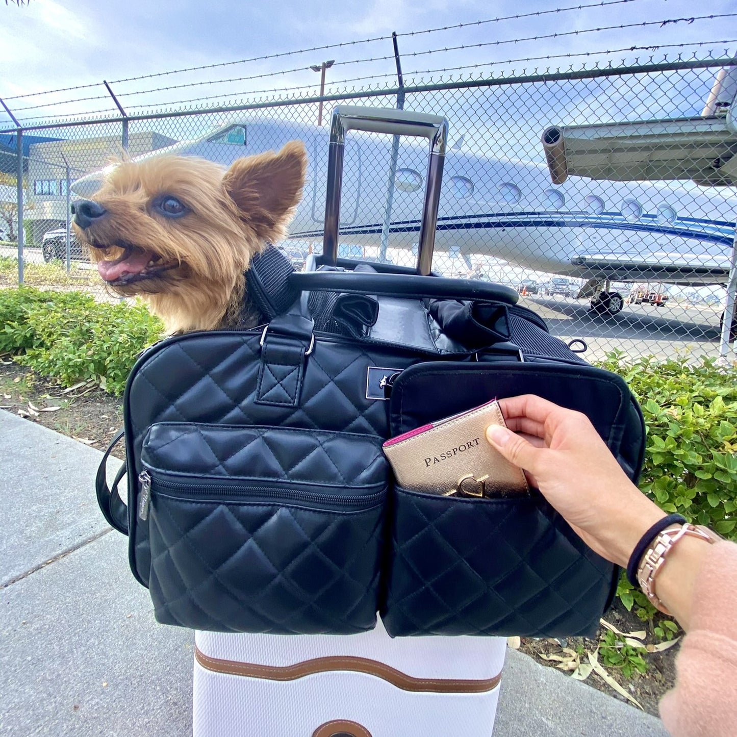 Lux Pet Carrier - BLACK, High quality durable faux leather 3 carrying options, Travel Friendly, Ventilation for Dogs/Cats/Pets up to 25 LBS