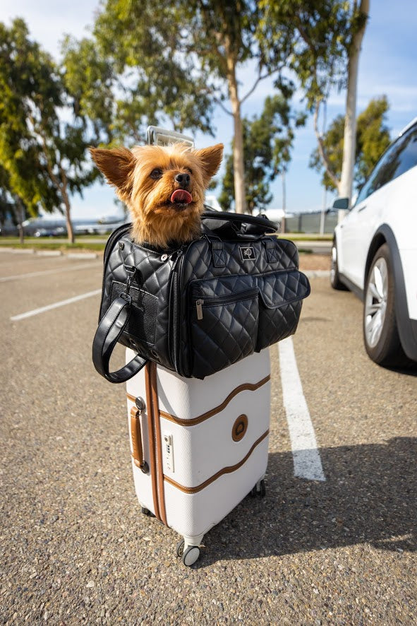 The Lux Pet Carrier Bundle