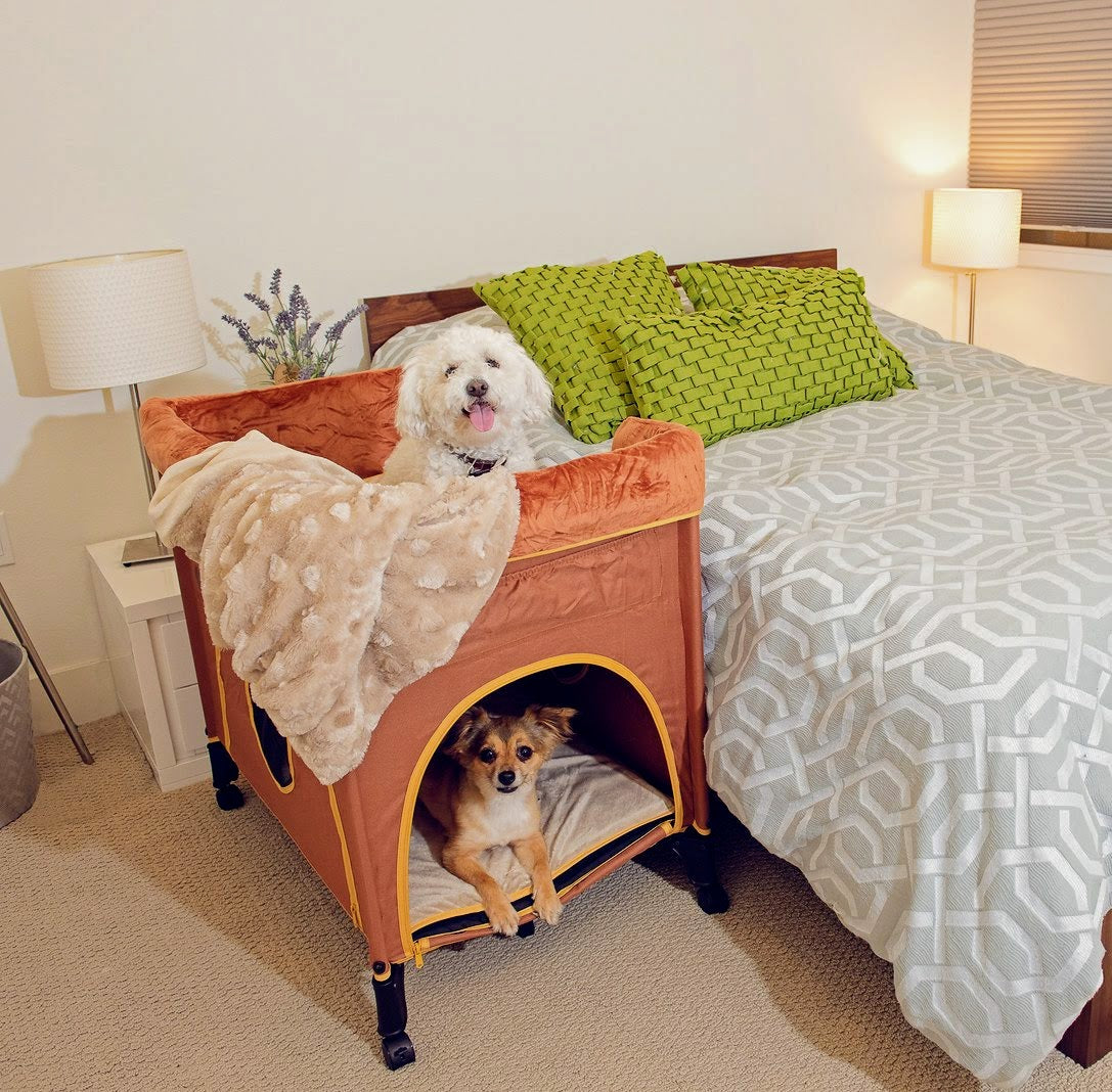 OPEN-BOX | Pet Bunk Bed - Lion's Den (Orange)
