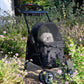 OPEN-BOX | Low Entrance Simple Pet Stroller in Black