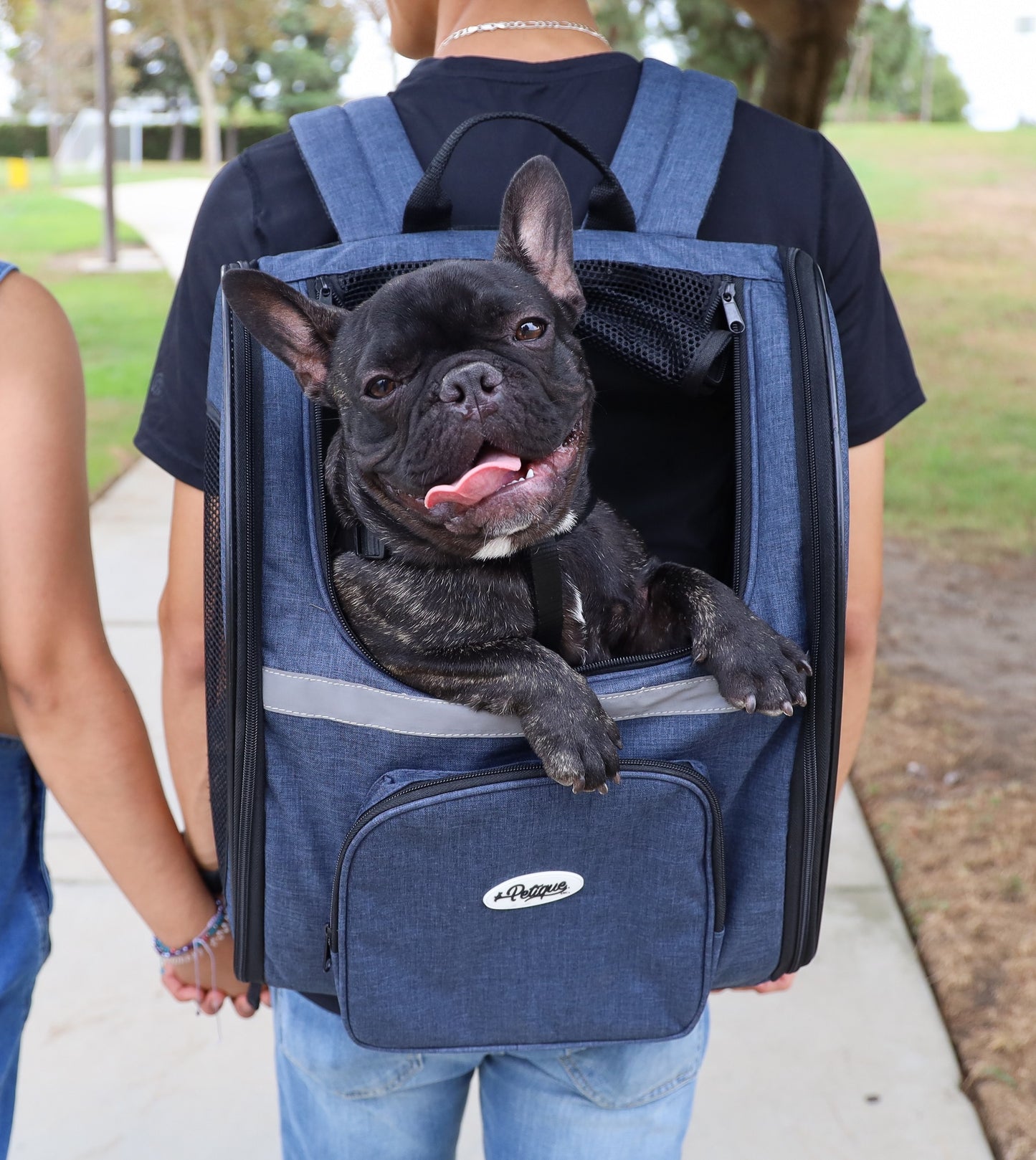 The Backpacker Pet Carrier + Chunky Monkey Dog Toy Bundle