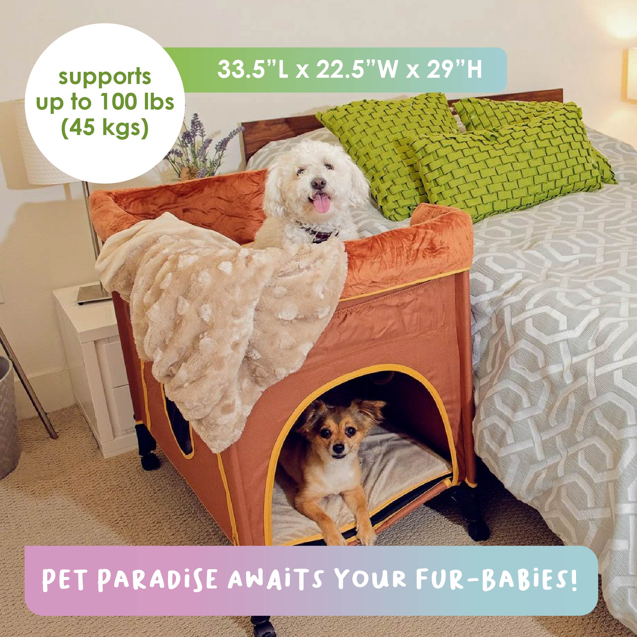 OPEN BOX Pet Bunk Bed Lion s Den Orange