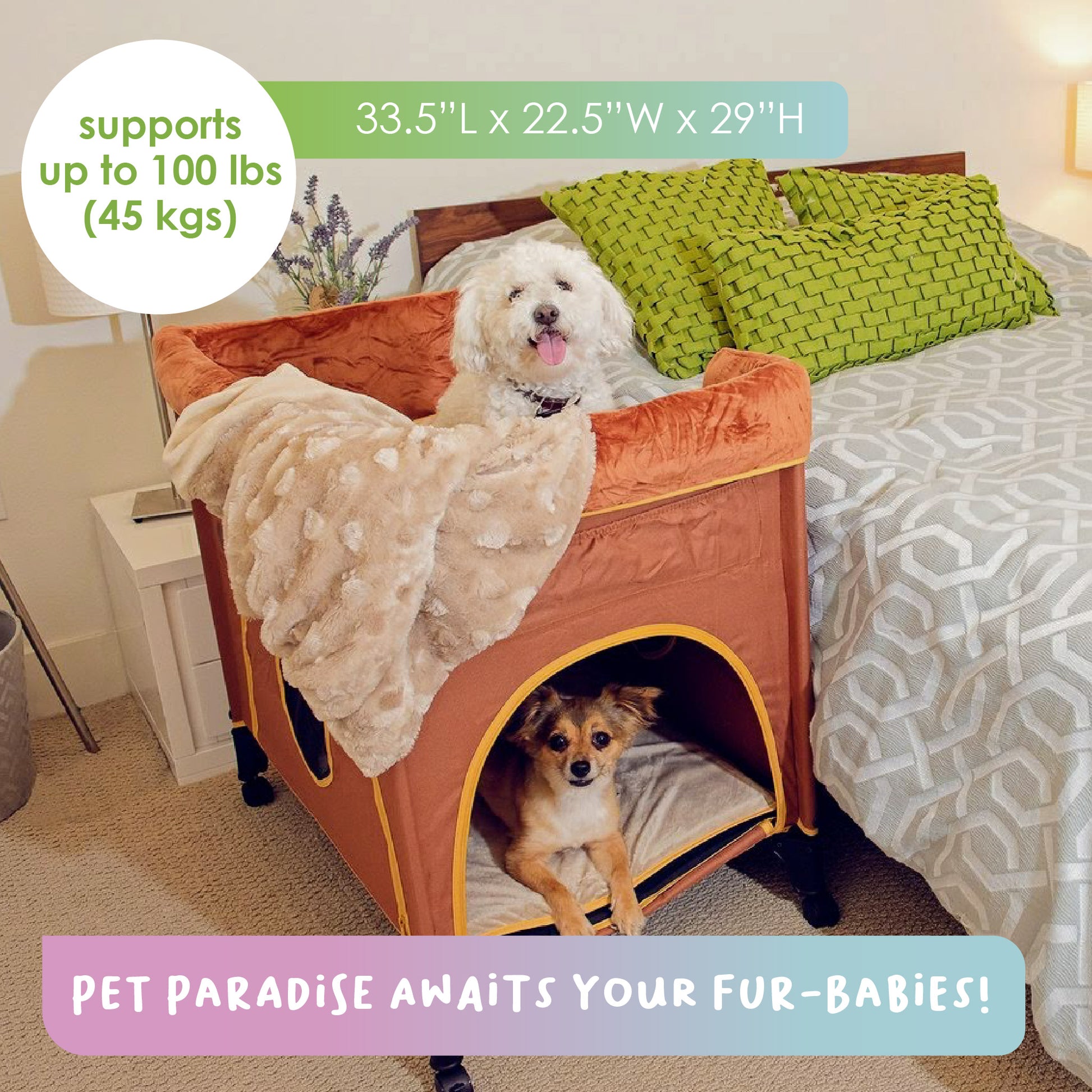bed for dogs and cats