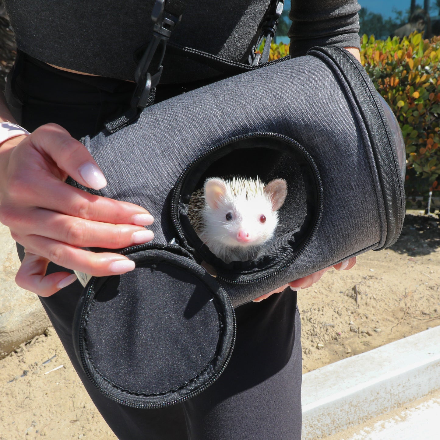 Capsule Pet Carrier: Durable, Scratch & Weather Resistant, Semi-Sphere Windows, 3 Entry Ways, Reversible Mat, 2 Carrying Options, Water Bottle Feeder Included, for Small Animals, Supports 5 LBS