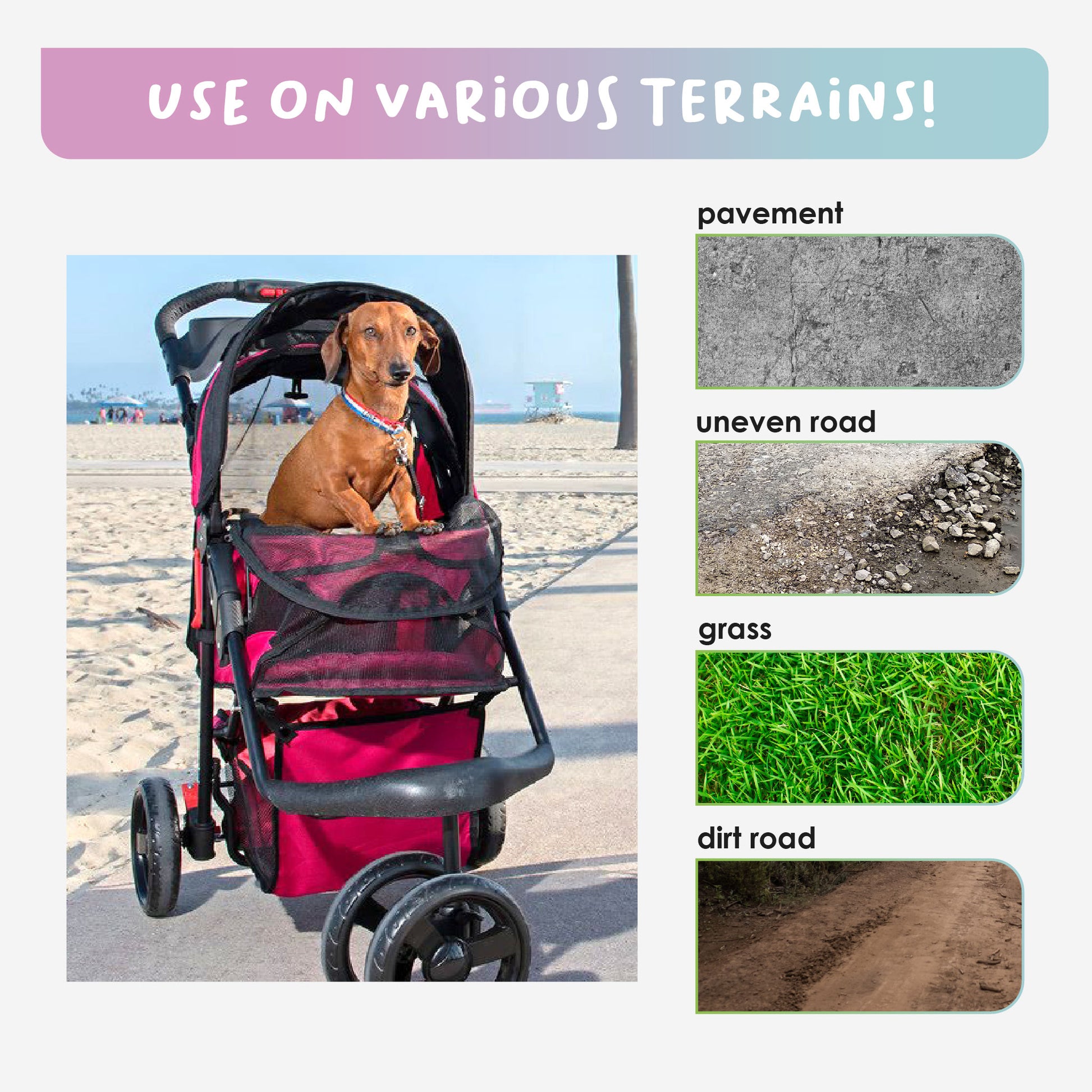 Pet travel