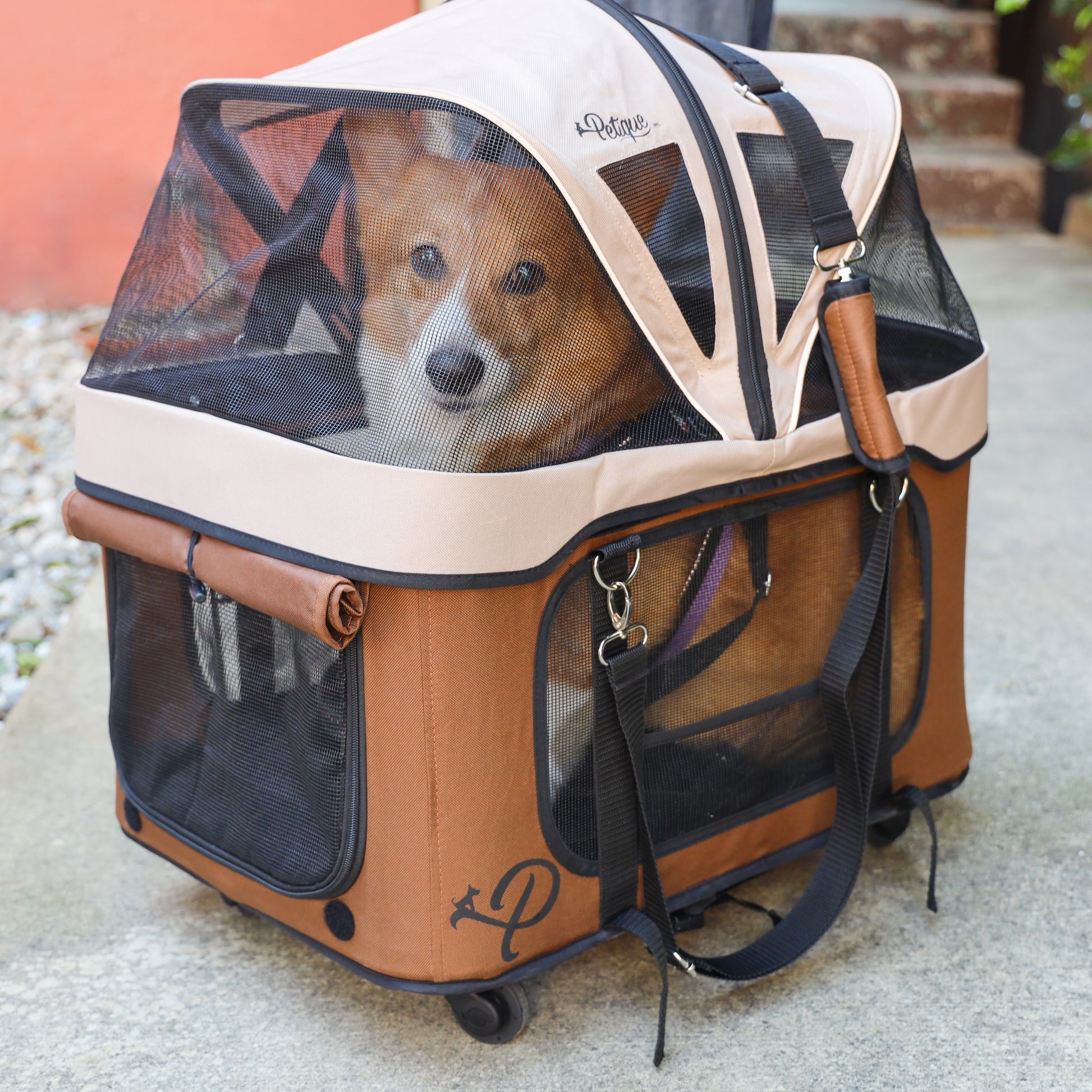 tan pet carrier