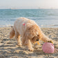 Pink Paw Me! Treat Ball Dispenser and Dog Toy: Engaging Design, Squishy Texture, Easy Rolling, Interactive Play, Keeps Pets Busy, Vanilla Scent, BPA-Free, FDA Approved for Dogs/Cats/Pets