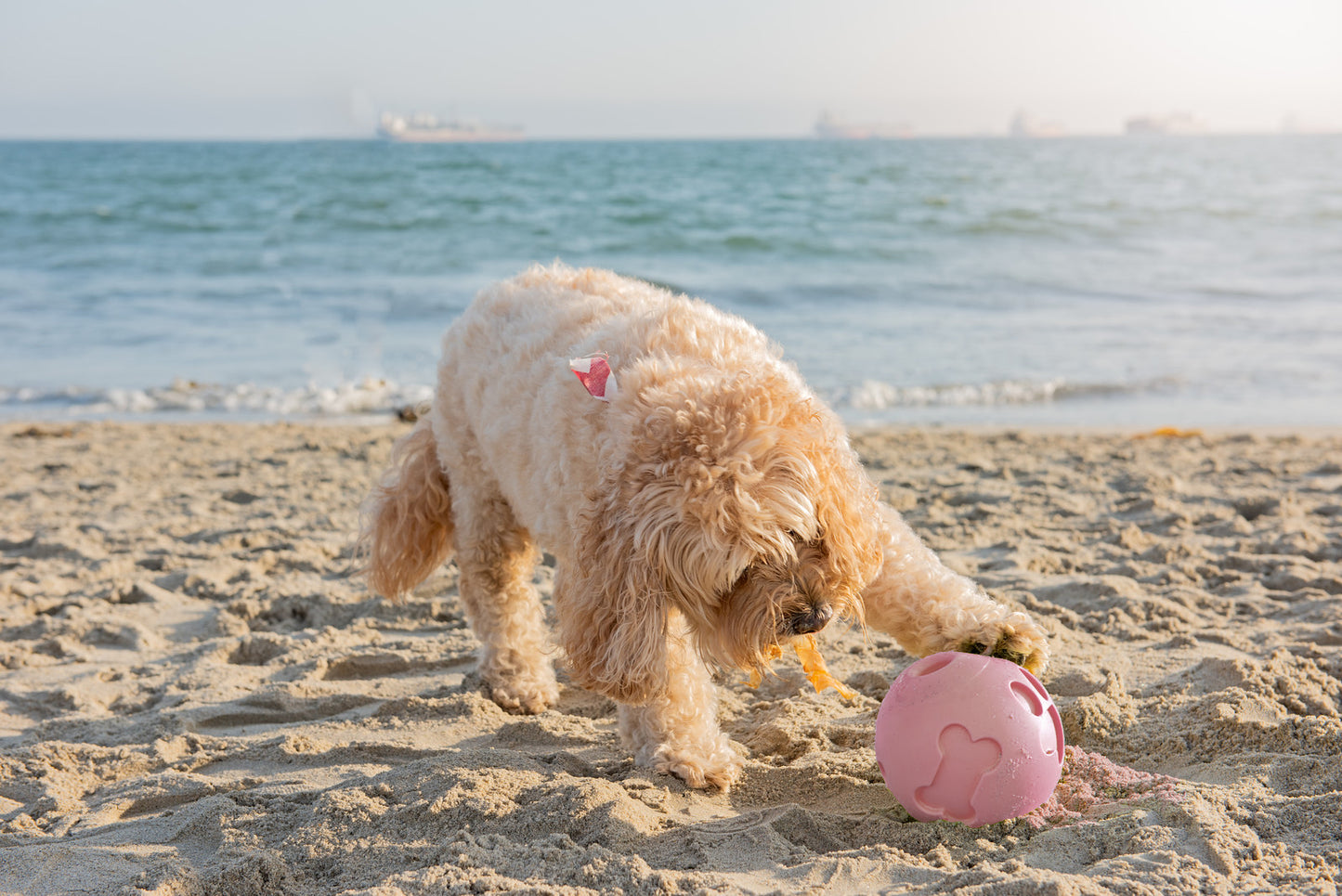 Pink Paw Me! Treat Ball Dispenser and Dog Toy: Engaging Design, Squishy Texture, Easy Rolling, Interactive Play, Keeps Pets Busy, Vanilla Scent, BPA-Free, FDA Approved for Dogs/Cats/Pets