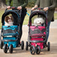cute dogs in petique pet stroller