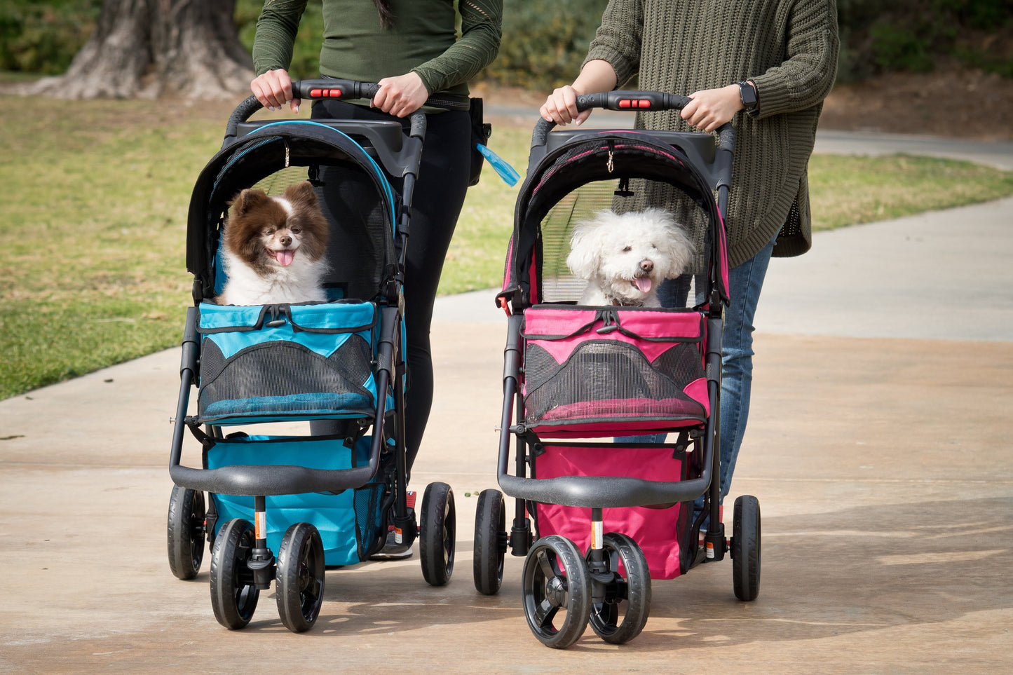 cute dogs in petique pet stroller
