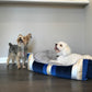 Golden Waves Pet Bed Soft Calming Pet Bed, Anti-Anxiety, Nonskid Bottom, Hypoallergenic, Premium Comfort Plus Pet Bed for Medium, Small Dogs/Cats, SUPPORTS UP TO 20LBS (23"x21"x5")