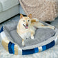 Golden Waves Pet Bed Soft Calming Pet Bed, Anti-Anxiety, Nonskid Bottom, Hypoallergenic, Premium Comfort Plus Pet Bed for Medium, Small Dogs/Cats, SUPPORTS UP TO 20LBS (23"x21"x5")