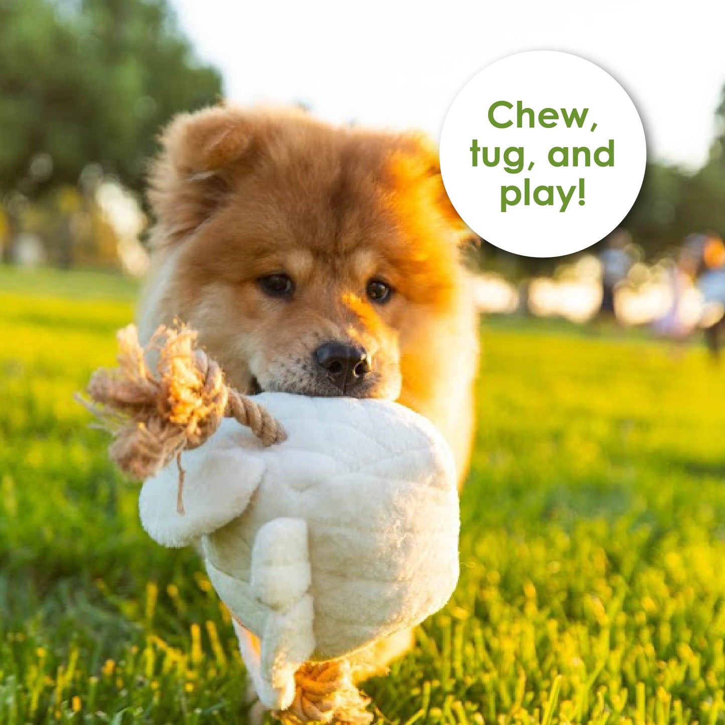 6 Piece Hemp Pet Toy Bundle Pack: Durable, Non-Toxic & Fun Dog Toys - Tough Rope & Squeaker Chew Toys for Safe, Healthy, and Happy Pets, Eco-Friendly & Mold-Resistant, Perfect for Chewers & Playtime, CE Certified Pet Toys