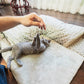 cat playing on hide and seek play mat